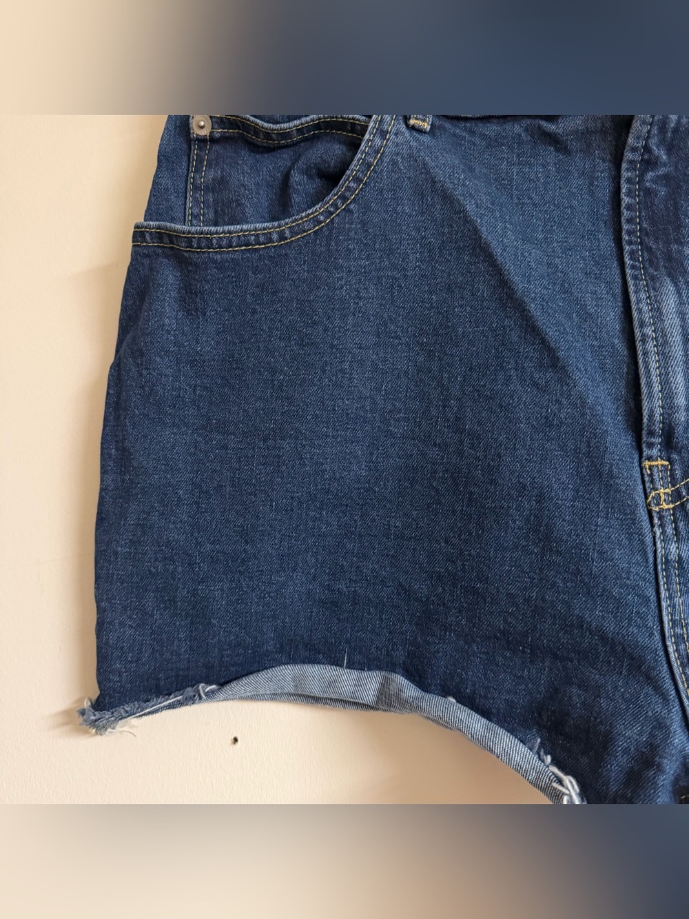 Everlane The Way High Denim Cutoff Shorts Size 32 - Picture 6 of 10